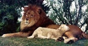 lion-and-lamb